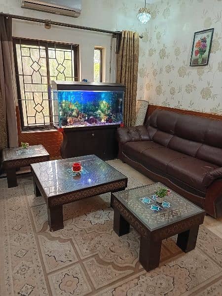 Full Size Aquarium full setup with fishes 5