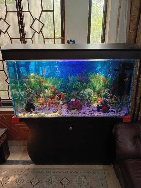 Full Size Aquarium full setup with fishes 7