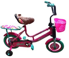 Pink Cycle 12 Size