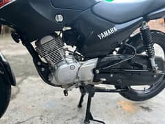 Yamaha YBR 2018 model