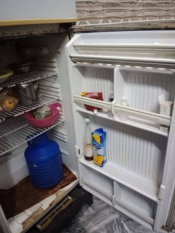 Pel Refrigerator 1