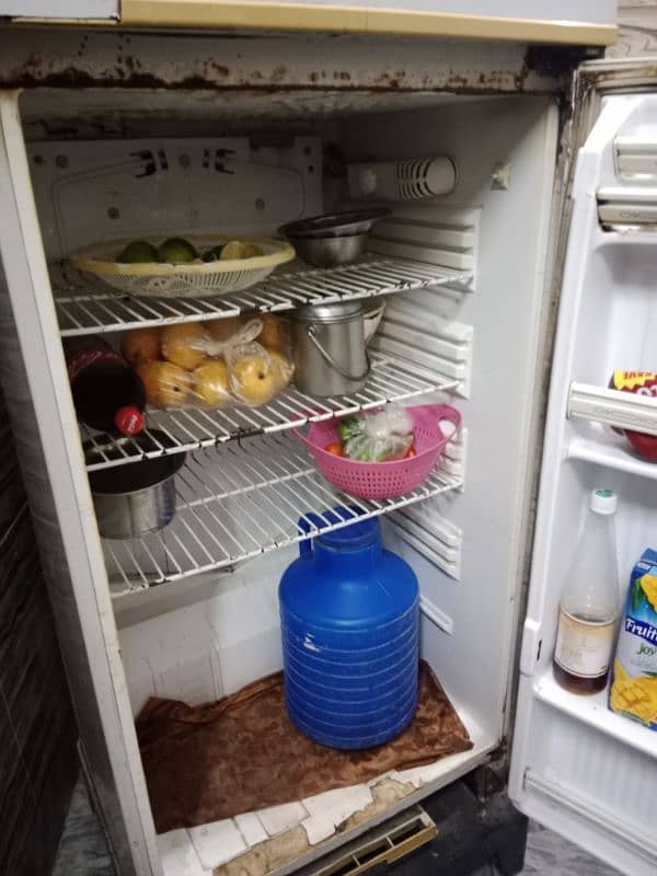 Pel Refrigerator 2