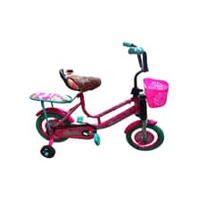 Pink Cycle 12 Size