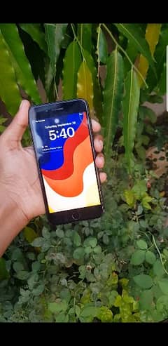 IPHONE 8 PLUS (256GB)