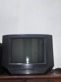 Sony Stereo MultiSystem TV with Free TV Trolley