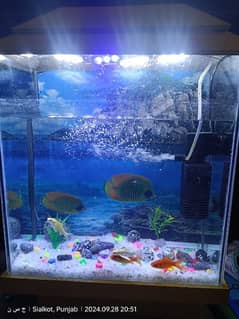 Fish Aquarium with Water Filter Oxygen Pump