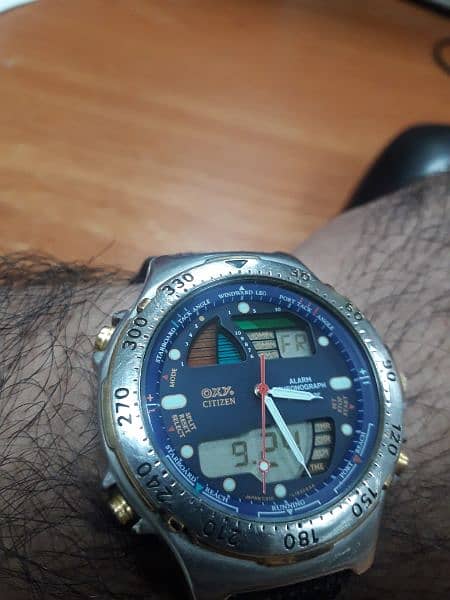 citizen watch 2