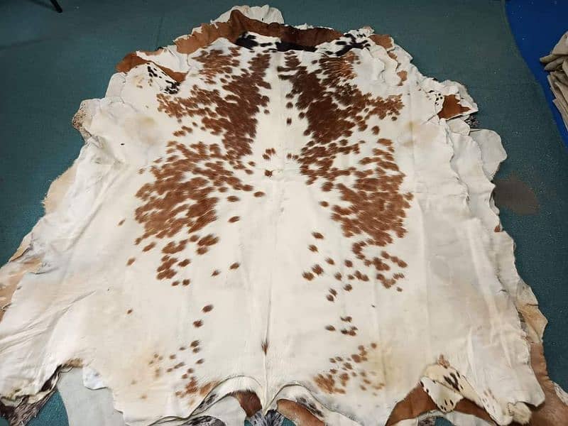 NEW LARGE 100% COWHIDE LEATHER RUGS TRICOLOR COW HIDE SKIN CARPET AREA 1