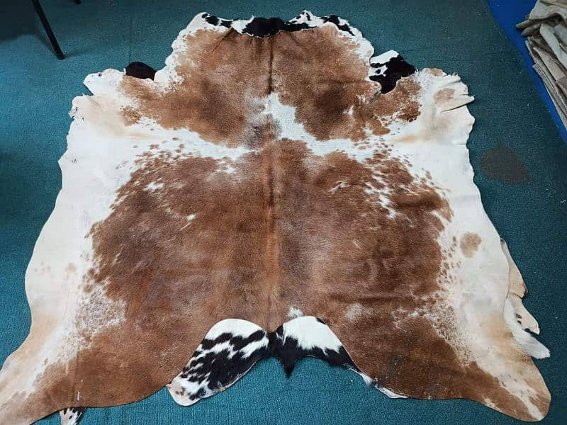 NEW LARGE 100% COWHIDE LEATHER RUGS TRICOLOR COW HIDE SKIN CARPET AREA 3