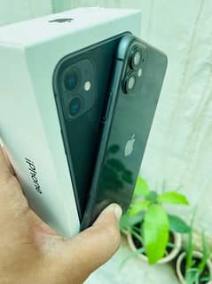 IPhone 11 with box non pta