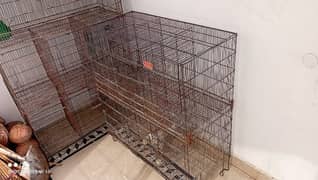 cages and matki for Australian parrots