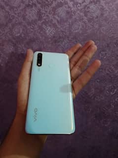 Vivo