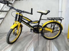 bicycle cricurier