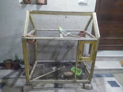 Australian parrots with cage for sale