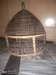 cage for Australian birld