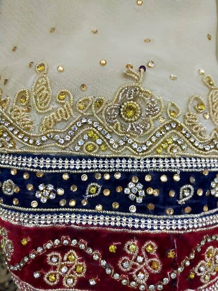 BRIDAL SHARARA 4