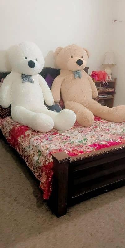 Tedy bears Gaint size All clrs and sizes available 03254280023 1