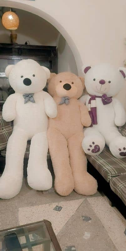 Tedy bears Gaint size All clrs and sizes available 03254280023 2