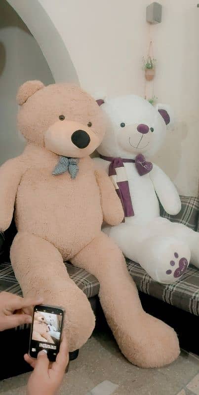 Tedy bears Gaint size All clrs and sizes available 03254280023 5