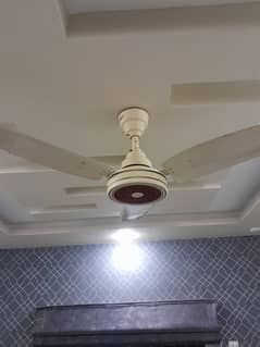 Royal Ceiling Fan