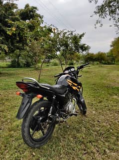 Ybr 125 2016