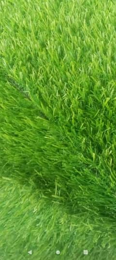 Wholesale rates artifical Grass / grass carpet / astro turf / grass