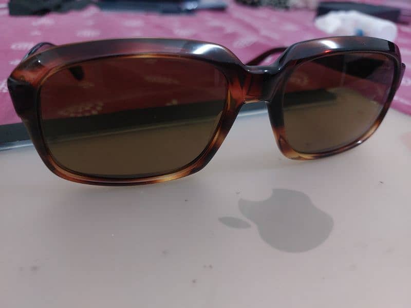 Morel original sunglasses 5