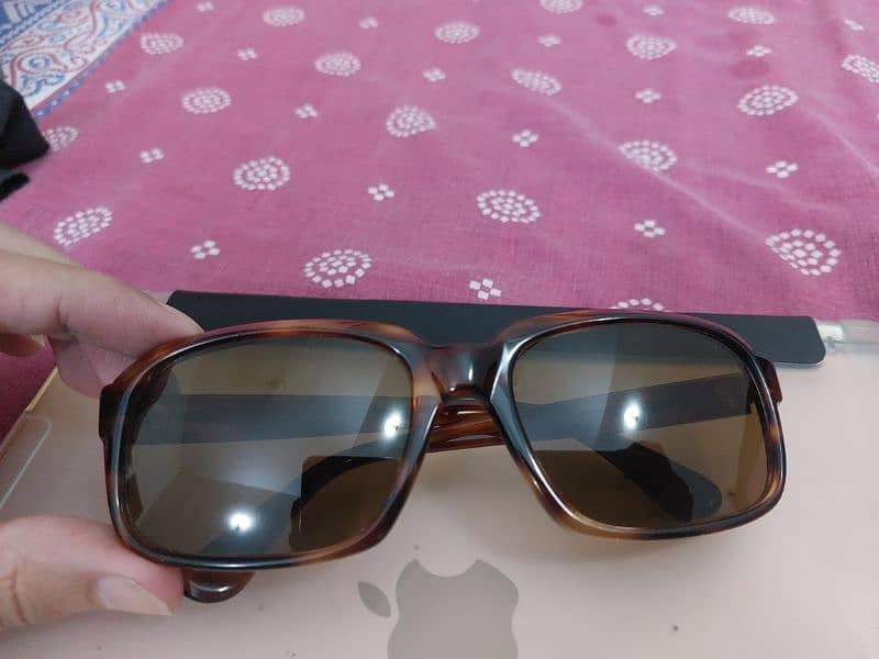 Morel original sunglasses 7