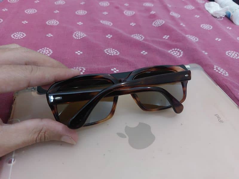 Morel original sunglasses 8