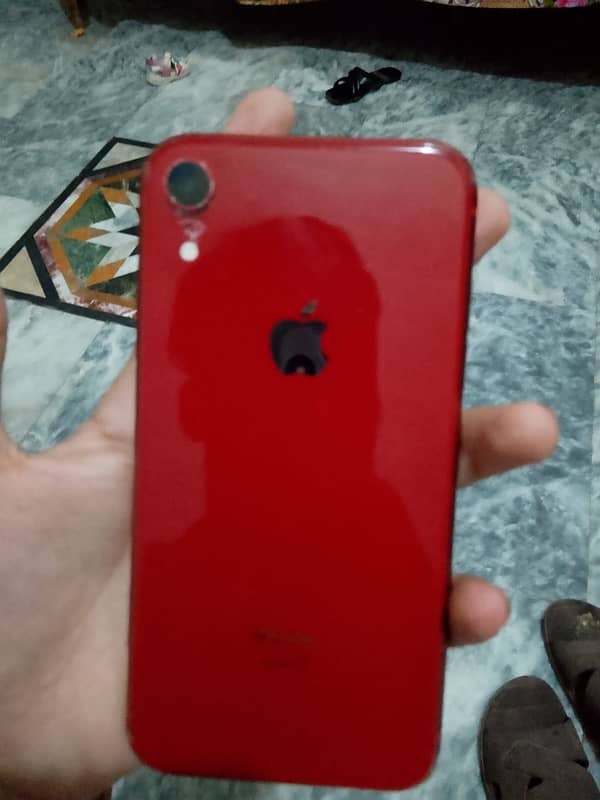 iphone xr nonpta 64gb 1