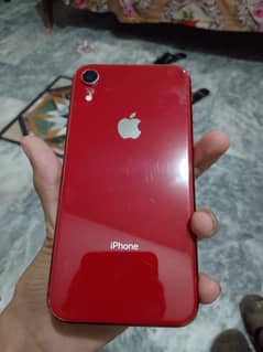 iphone xr nonpta 64gb