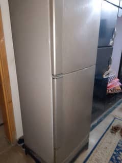 PEL REFRIGERATOR FULL SIZE