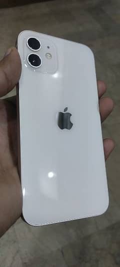 iphone 12 pta approved dual sim