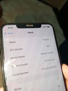 iphone xs max 256 gb