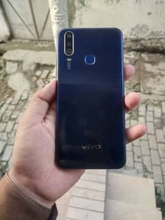 Vivo