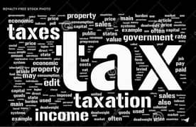 Professional Service for Filing of Tax Returns