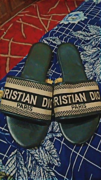 Christian DIOR dway shoes 2