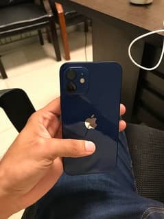 iPhone 12 (Factory Unlock) 10/10