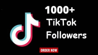 Tiktok, Instagram,Twitter Followers, Likes, YouTube Subscribers