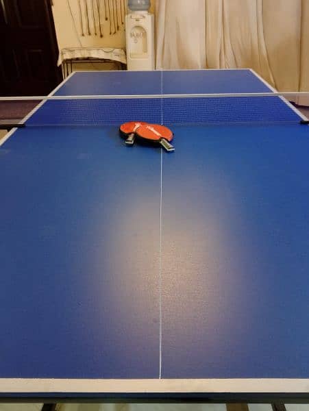 Table tennis table 7