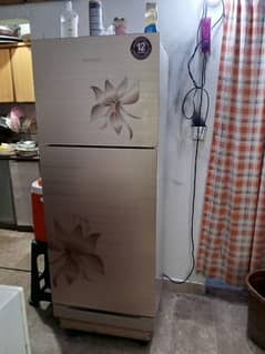 Kenwood Refrigerator