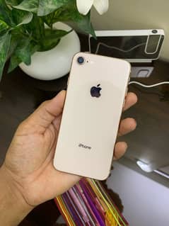 iphone 8 64gb  pta approve