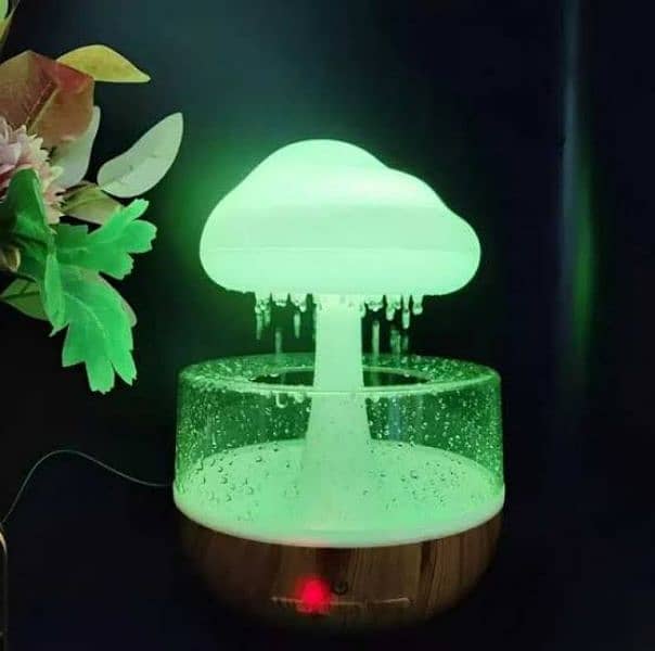 Rain Cloud Humidifier 1