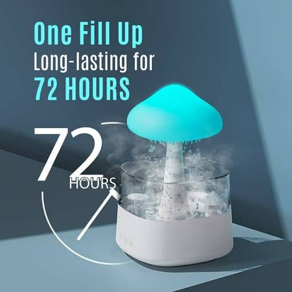 Rain Cloud Humidifier 2