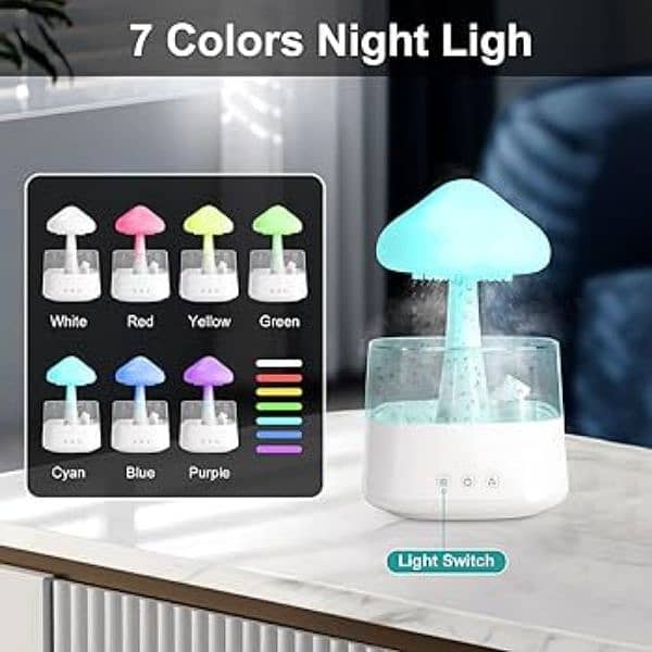 Rain Cloud Humidifier 5