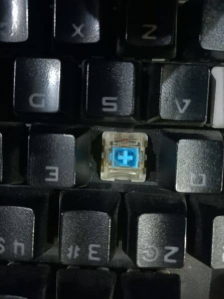 leaven k550 BLUE SWITCH TKL 4