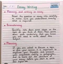 Assignment hand writing work