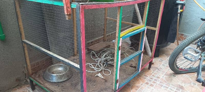 Hen / Birds Cages for Sale 1