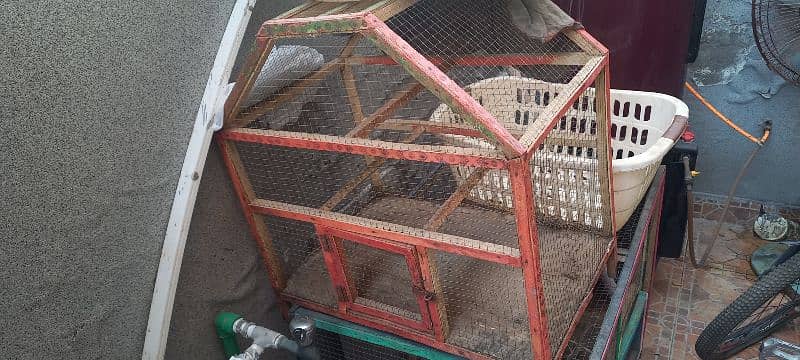 Hen / Birds Cages for Sale 2