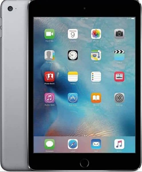 Apple iPad mini 1 0